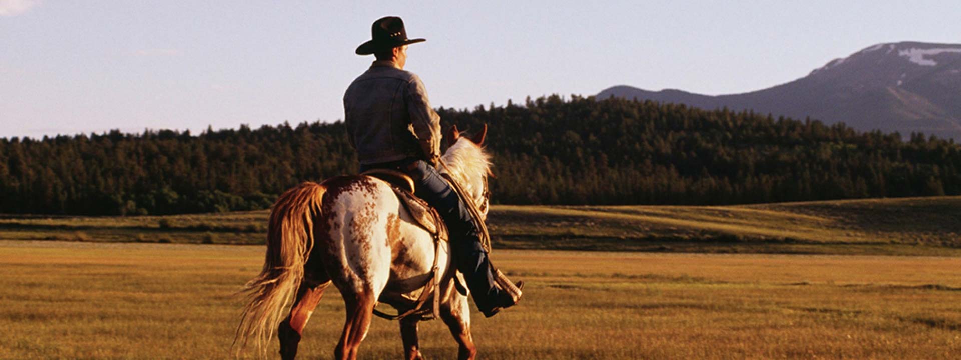 White Mountain Horseback Riding