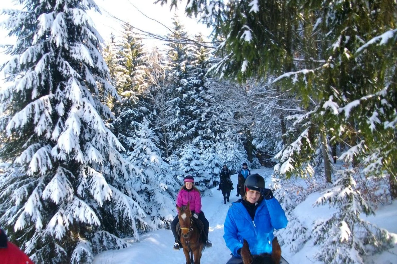 Hoofin-About Horse Riding Holidays