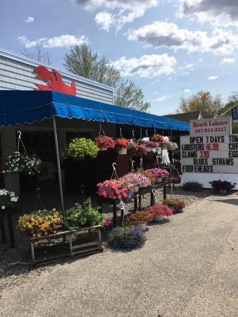 Beach Lobster & Farmstand