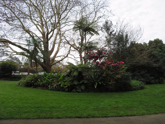 E G Waterhouse National Camellia Gardens