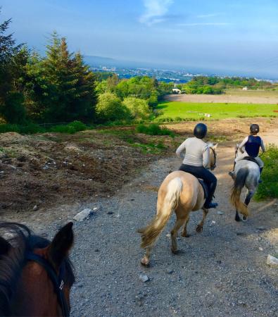 The Paddocks Riding Centre