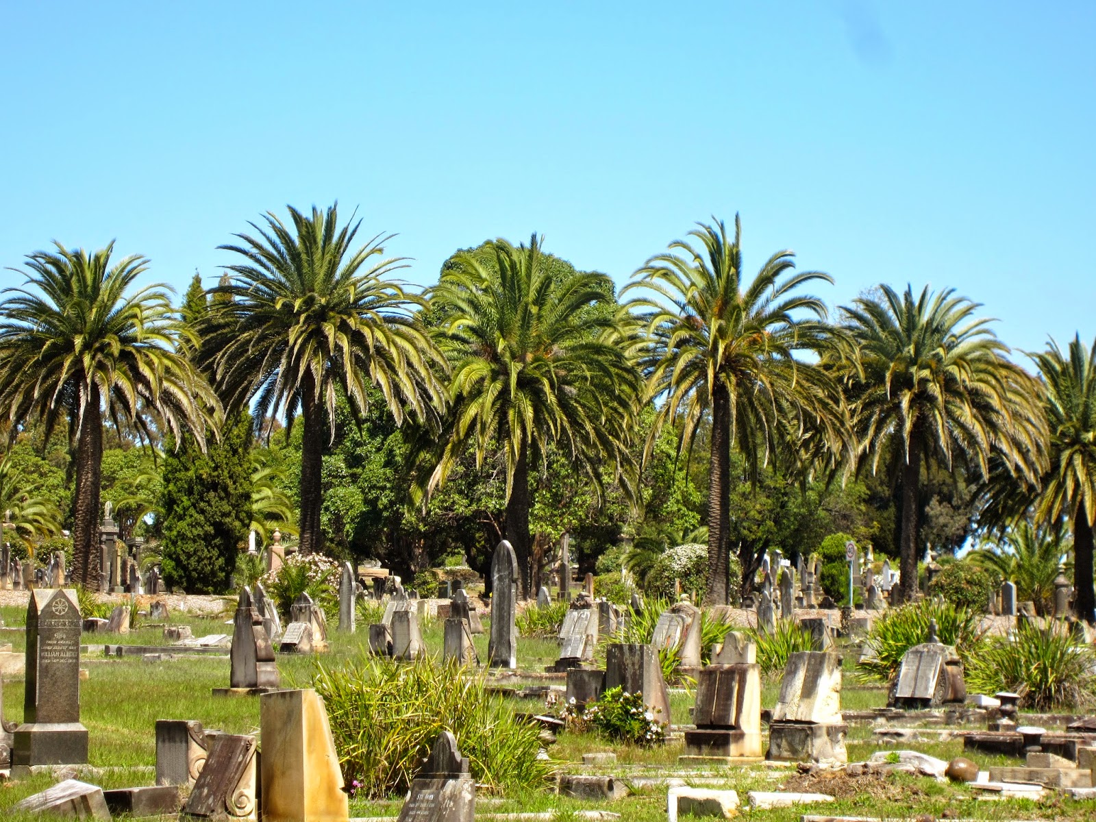 Rookwood Cemetery