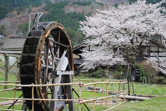 Fishing Center Mizube no Yakata