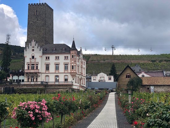 Rheingau Wine Museum Broemserburg Castle