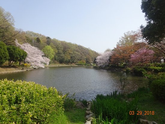 Junsai Pond Area