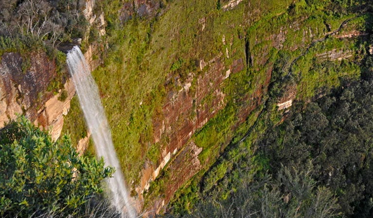 Cliff Top Walking Track