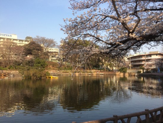 Maeno Park