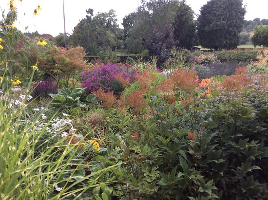 Meadow Farm Garden and Nursery
