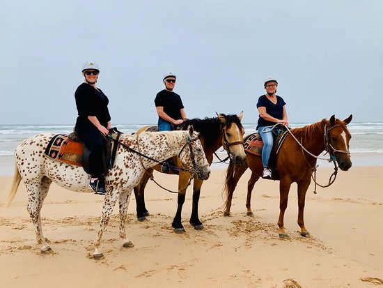 Sahara Trails Horse Riding and Farm Stays
