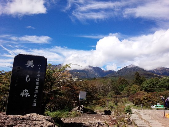 Forest Utsukushinomori