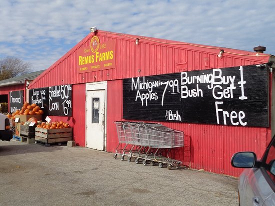 Remus Farms, Inc.