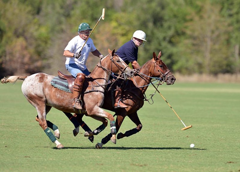 Fairfield Polo Club