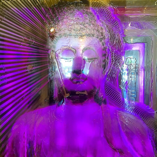 Monika Olko Gallery