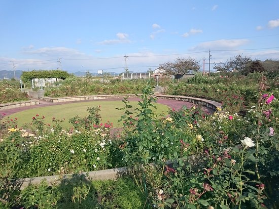 Outdoor Pictures 1