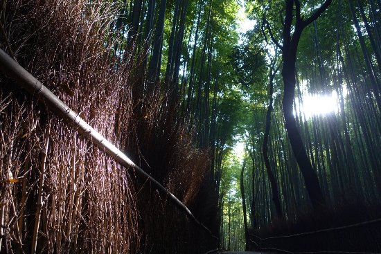 Chikurinnokomichi
