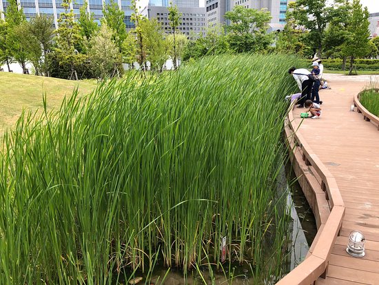 Shibaura Chuo Park