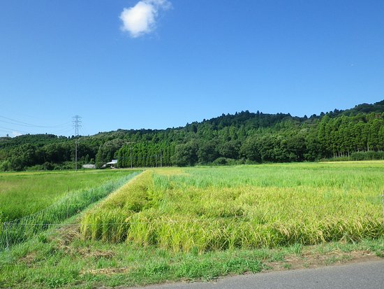 Fukashiro Pond