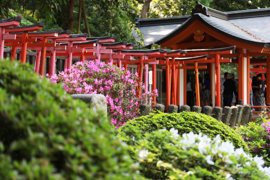 Nezu Shrine