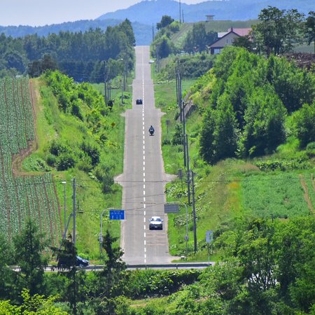 Roller Coaster Road