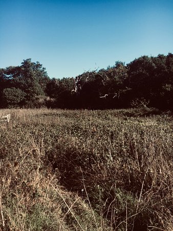 Stanmore County Park