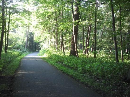 Eilenriede - Park
