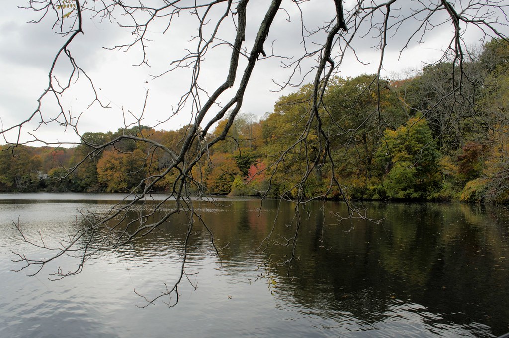 Avalon Park & Preserve