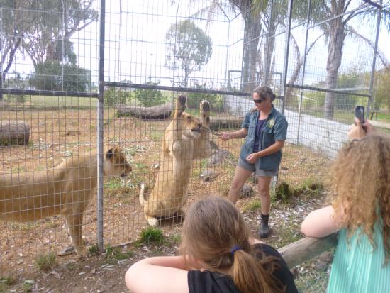 Darling Downs Zoo