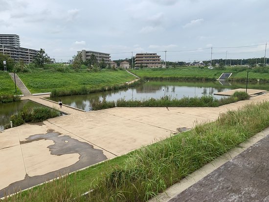 Kashiwanoha T-SITE