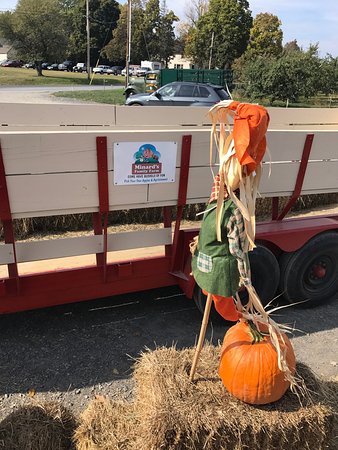 Minard Farms