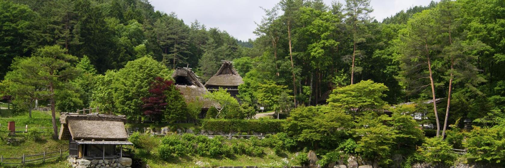 Nagareha Koryu Center