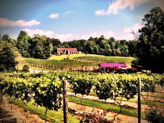 Running Hare Vineyard