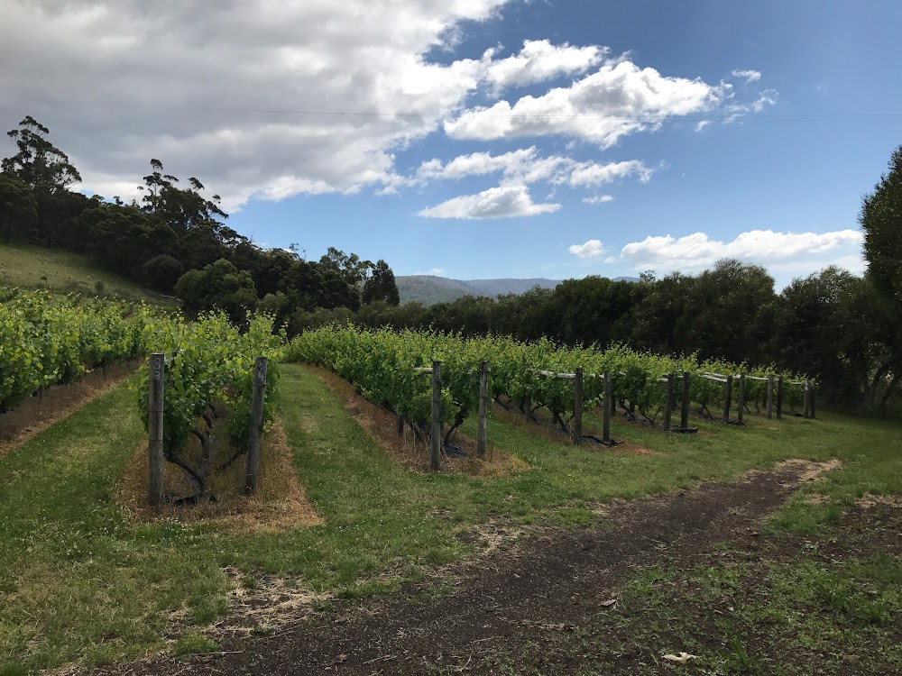 Freycinet Vineyards