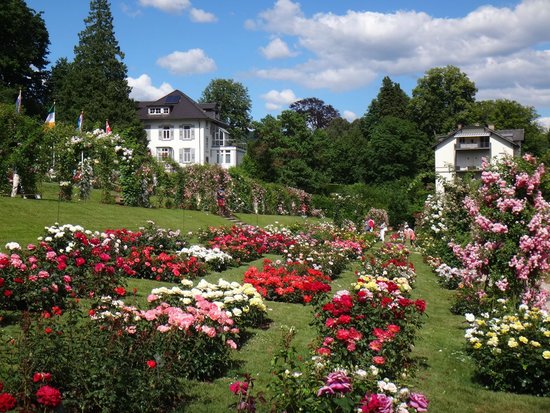 Rosengarten auf dem Beutig