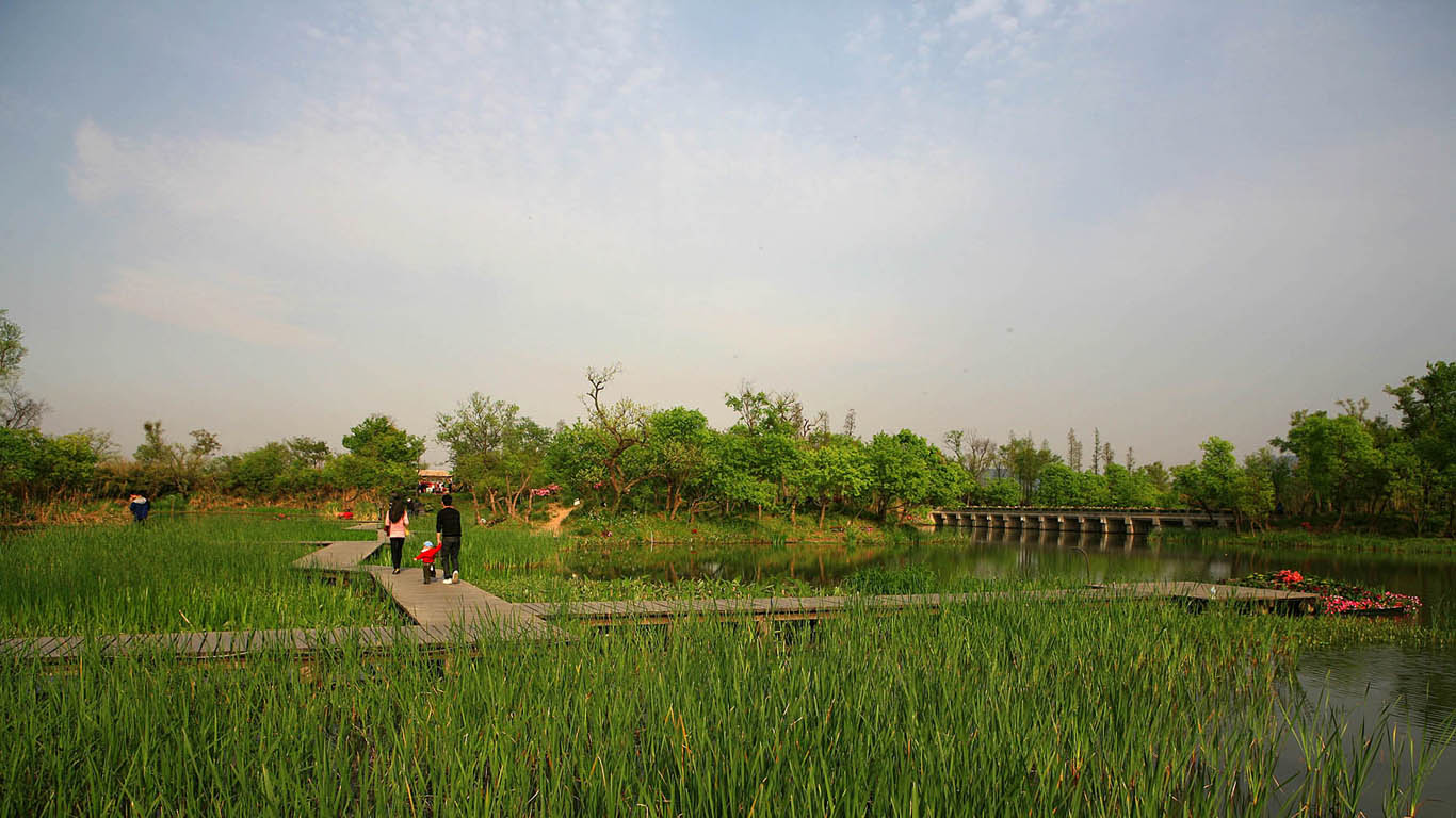 Caofeidian Wetland Scenic Spot