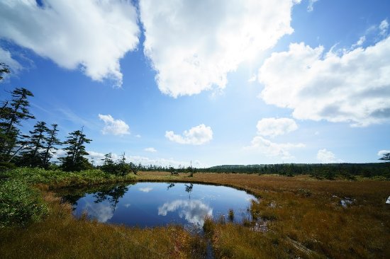 Matsuyama Wetland