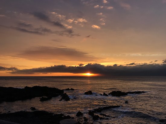 Sunset Palm Line Course