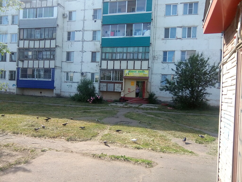 Zhivoye Pivo