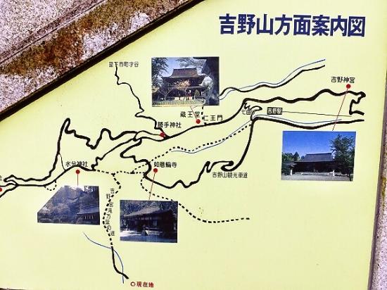 Yoshino Miyataki Manyo Road