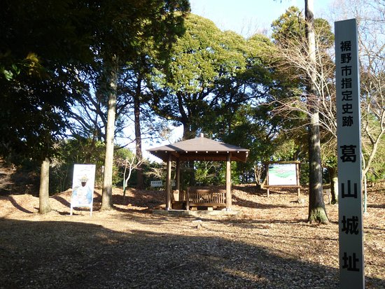 Outdoor Pictures 1