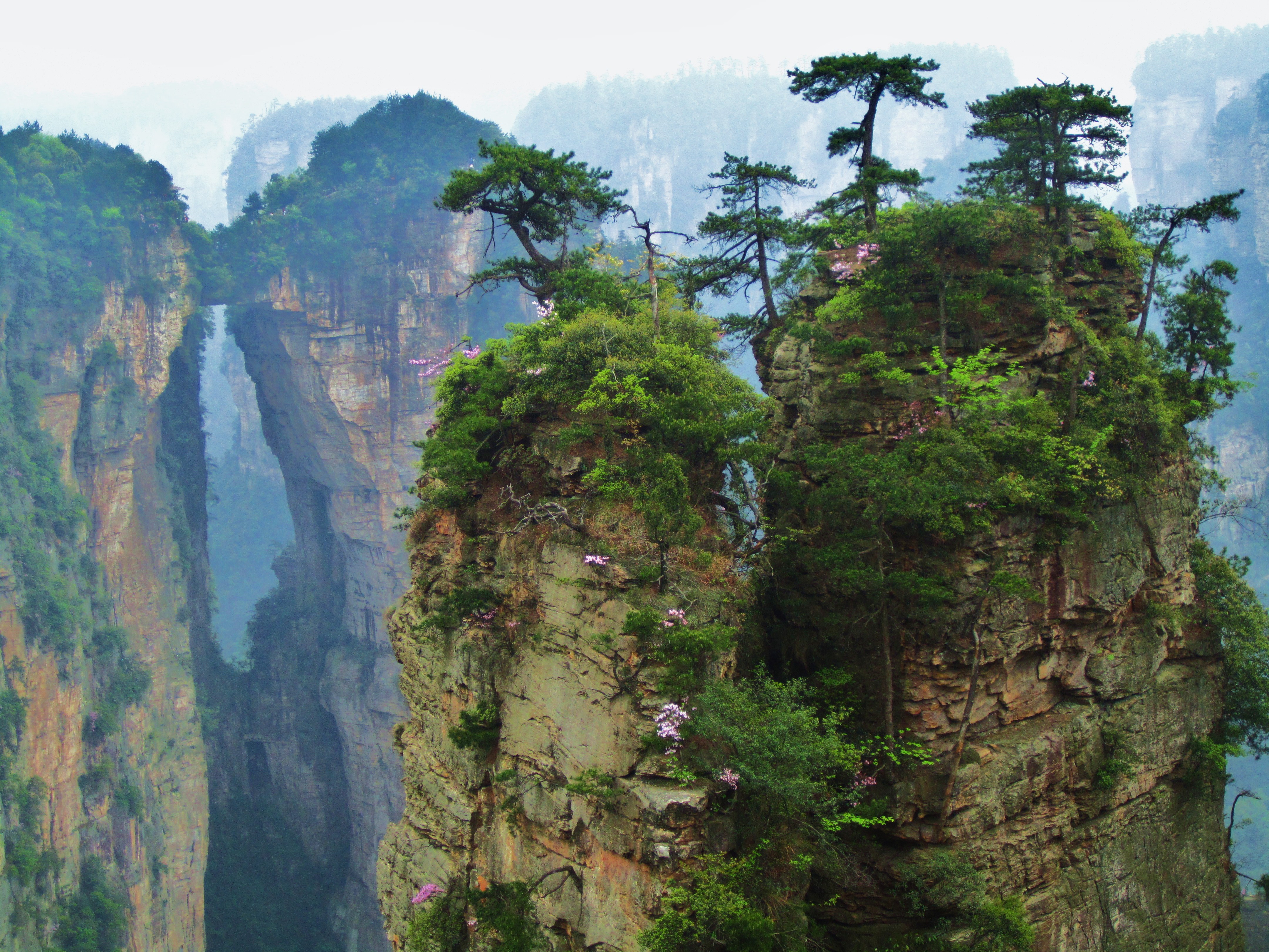 Mt. Wangshun National Forest Park