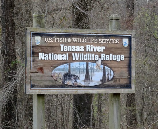 Tensas River National Wildlife Refuge