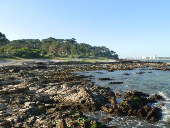 Isla Gorriti