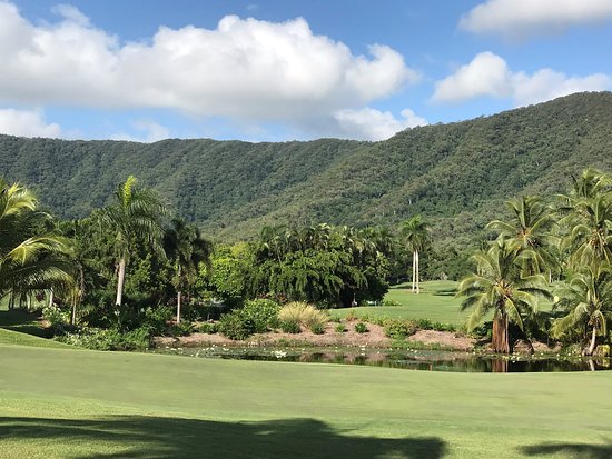 Paradise Palms Country Club