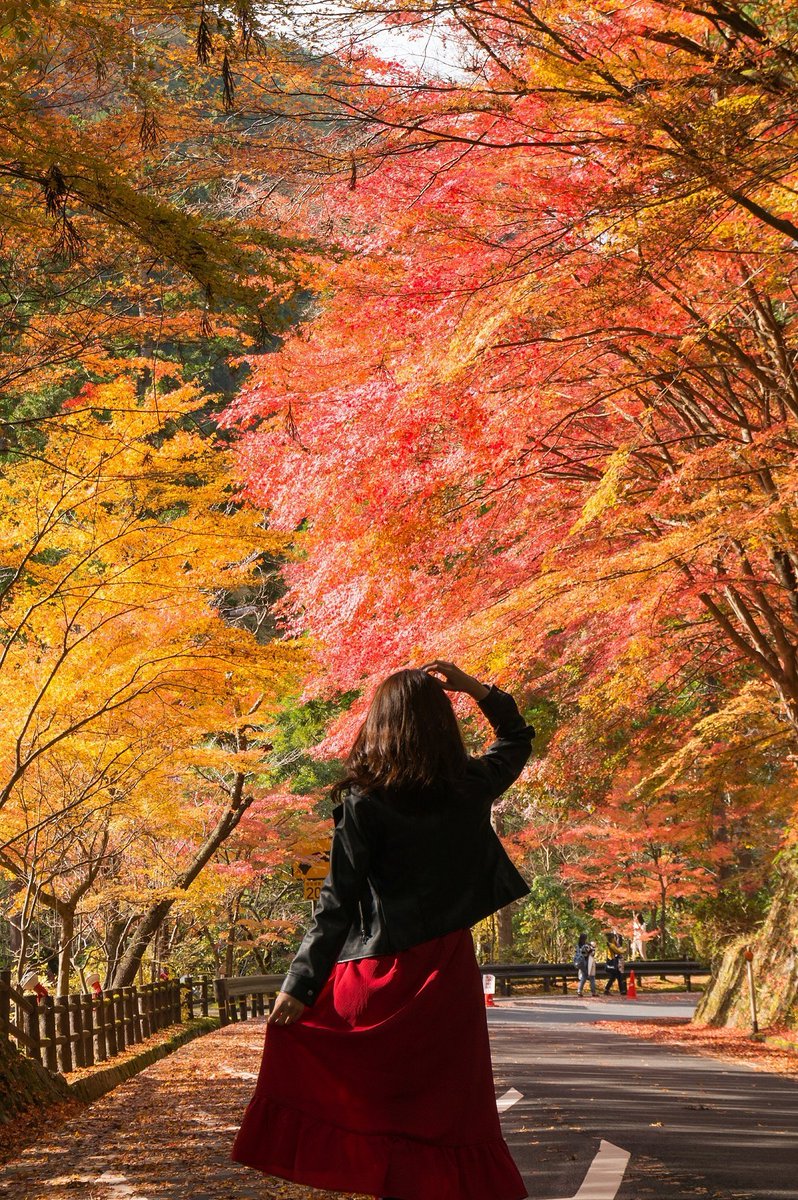 Outdoor Pictures 1