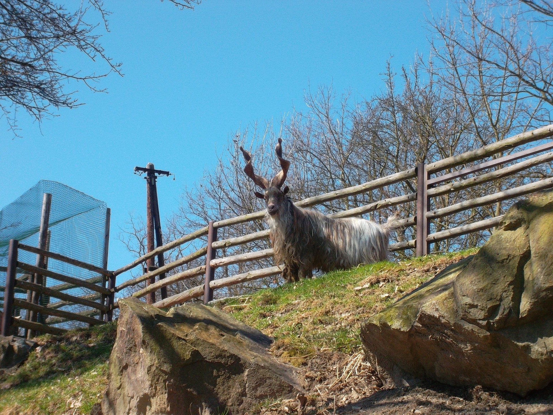 Zoo Plzen