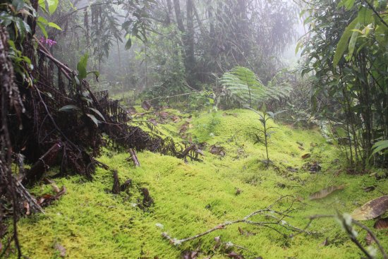 Sendero Ecoturistico