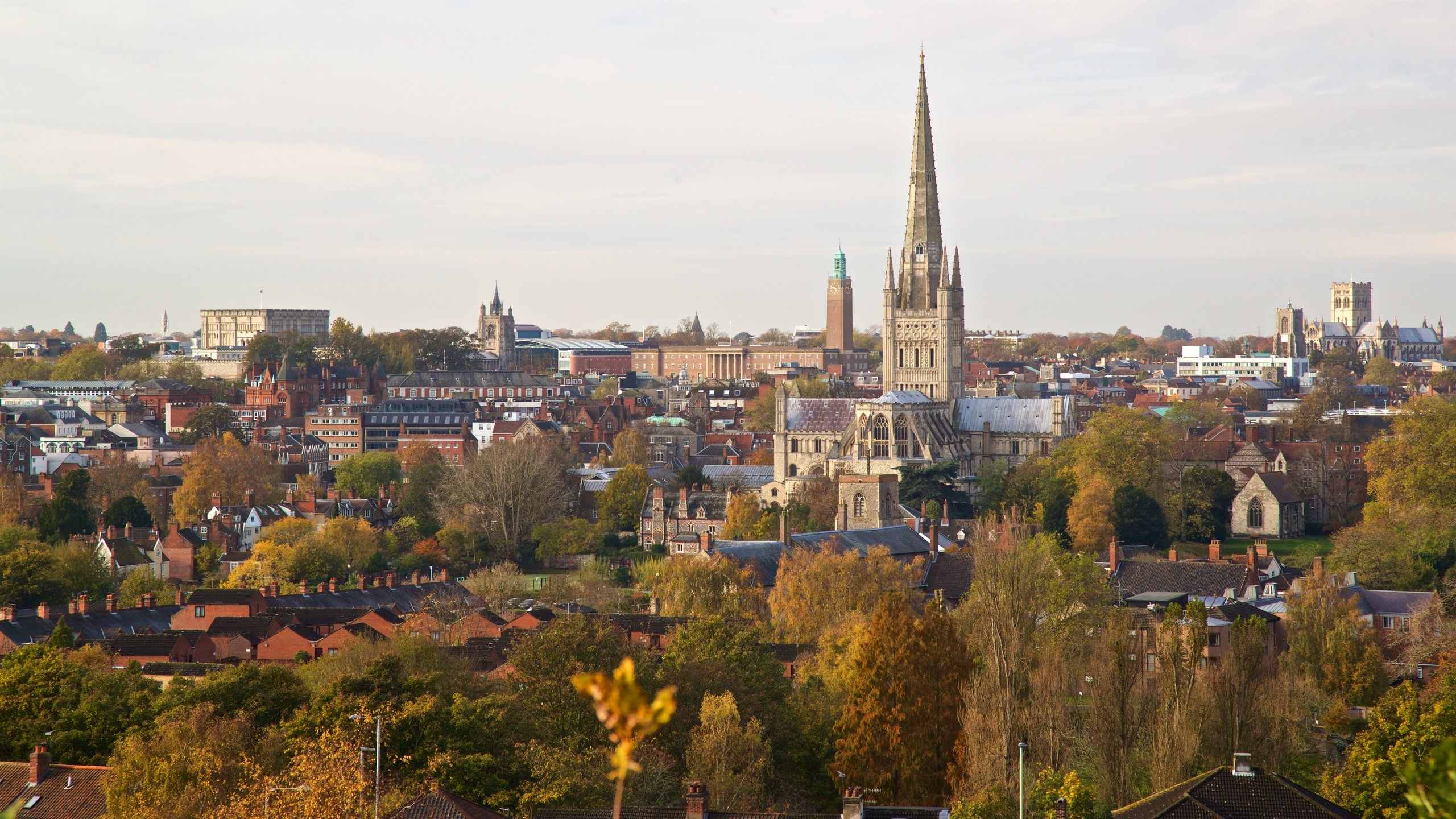 Mousehold Heath