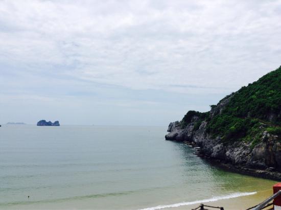 Cat Co 1 Beach