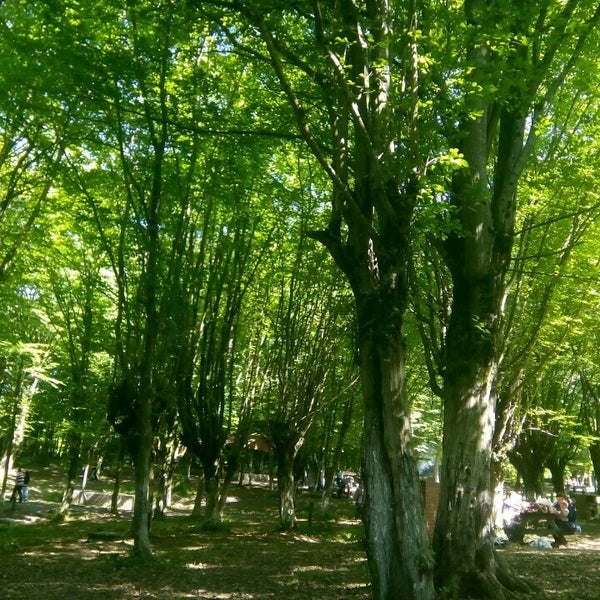 Balamba Tabiat Parki