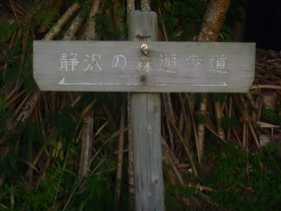 Shizukasawa Forest Promenade